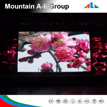 Competitive Price for SMD LED Indoor Panel Display